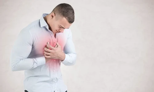 1 shutterstock 524848744 jpg jpeg