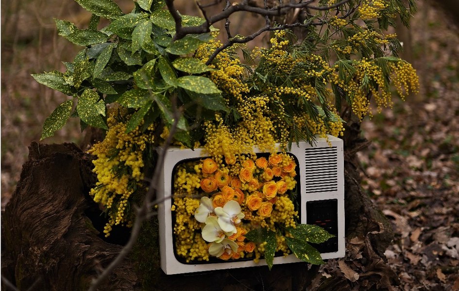 Aproape 40.000 de tone de deșeuri electronice colectate de Environ anul trecut