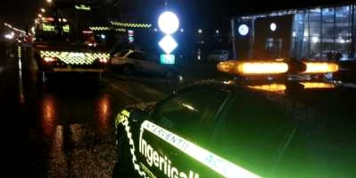 Ingerii Galbeni Timişoara