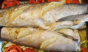 CLIIMA20120531 0111 1 jpeg