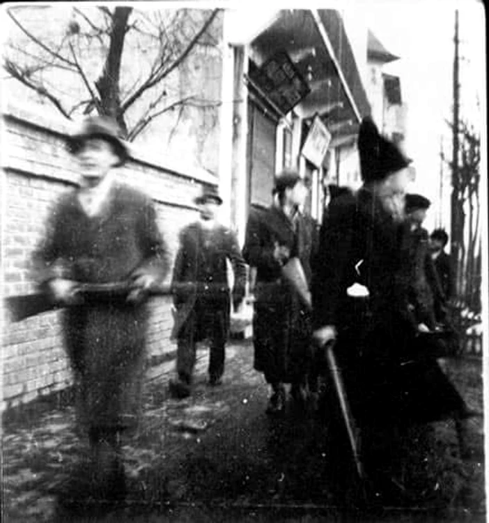 Pădurea Jilava, 1941, după Pogromul de la București