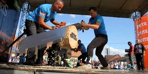 Cel mai bun taietor de lemne din Romania