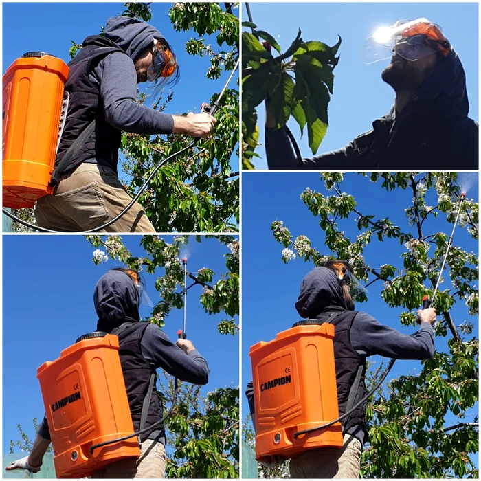 Gabriel se ocupă și de pomii fructiferi