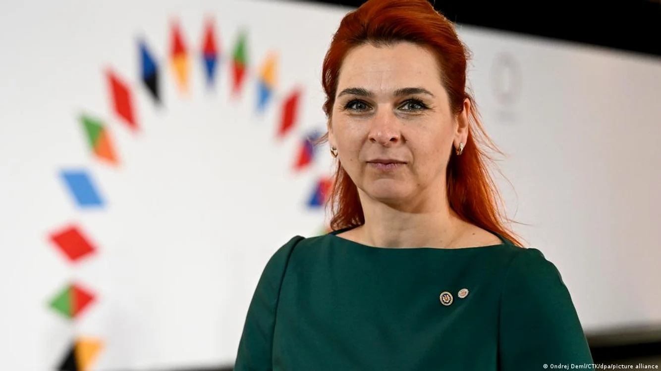 Ministra Afacerilor Interne în guvernul de la Chişinău, Ana Revenco
