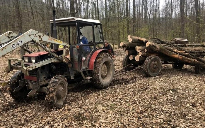 patrule aeriene deasupra padurilor foto ijj hunedoara