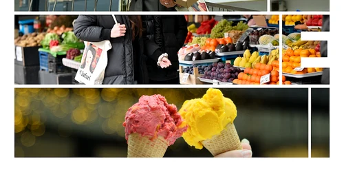 Art Safari New Museum (1) png