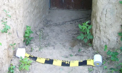 Pe aici intra în tunel jpeg