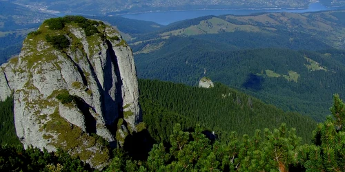 panaghiaceahlau acvaria ro jpg