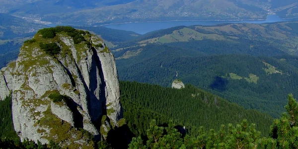 panaghiaceahlau acvaria ro jpg