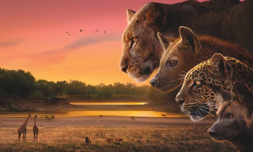 BBCS Kingdom Hero Iconic CLEAN A1 Landscape 840x594mm 300dpi CMYK AW jpeg