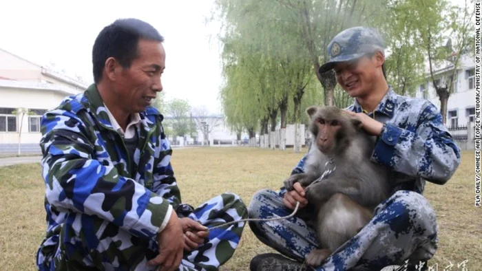 maimute in armata chineza foto CNN