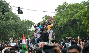 Susținători ai Partidului Gândacilor au ieșit pe străzi FOTO AFP