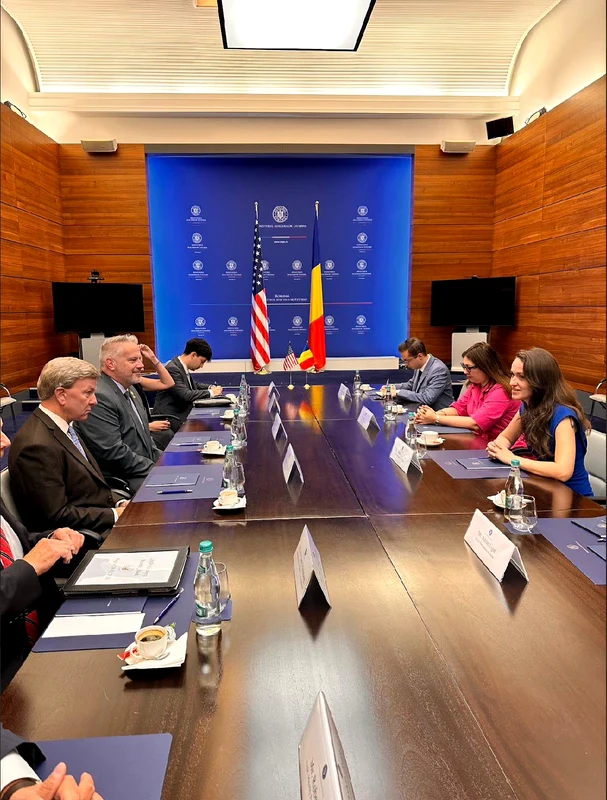 Oana Țoiu, întâlnire o delegație a Congresului SUA, condusă de Mike Rogers