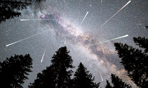 1 shutterstock 1118872436 jpg jpeg