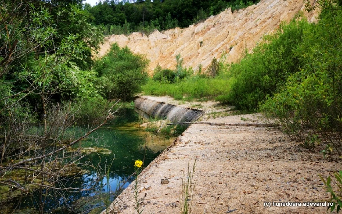 Halda de la Crăciuneasa. Foto: Daniel Guţă. ADEVĂRUL