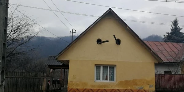 violata