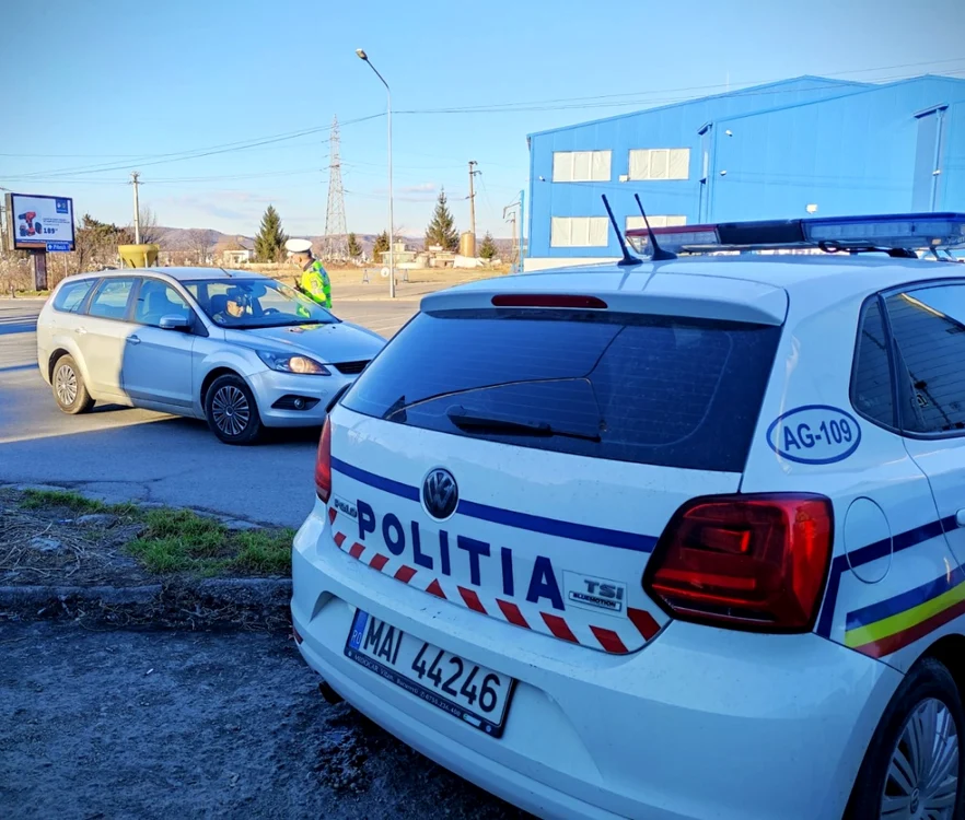 Mai multe echipaje de poliţie şi jandarmi au intervenit FOTO: IPJ Argeş