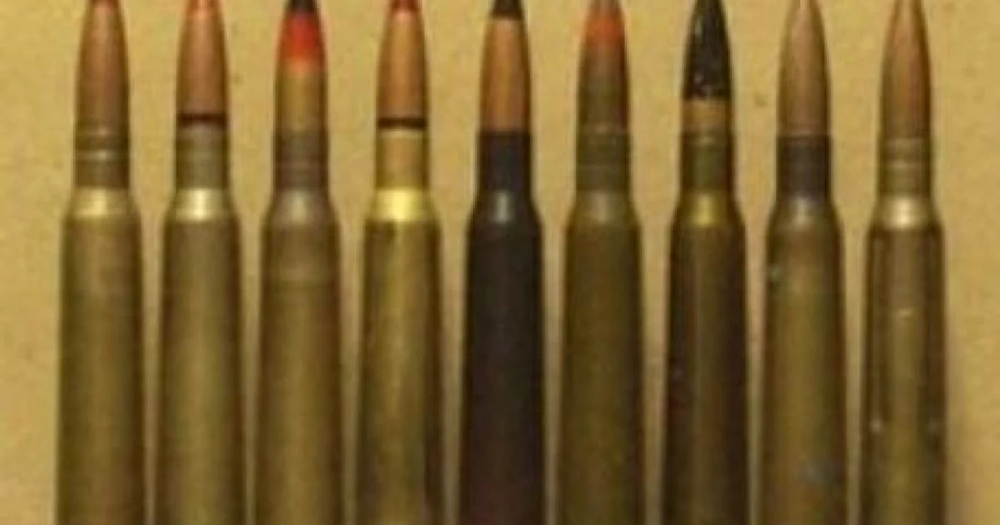 28 de cartuşe de infanterie au găsit pompierii sălăjeni. Foto: Arhivă