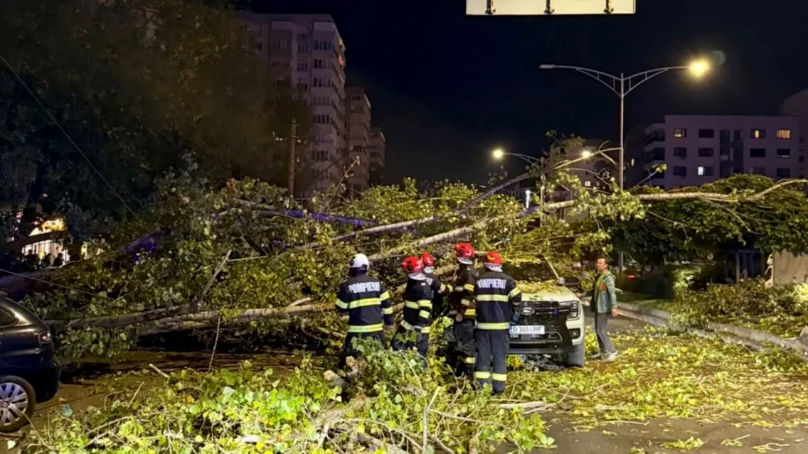 Copac căzut pe masini în București 