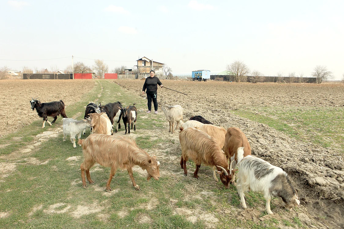 Tanti Maria: “Cred  că filmează peisaje”