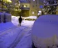 Zăpadă la Timişoara