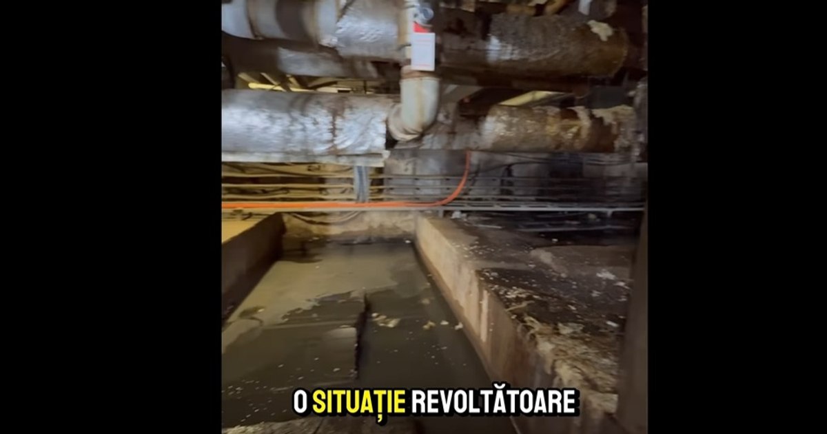 Scandalul în subsolul Spitalului Judeţean Constanţa: şobolani morţi, ţevi sparte, infecţii.