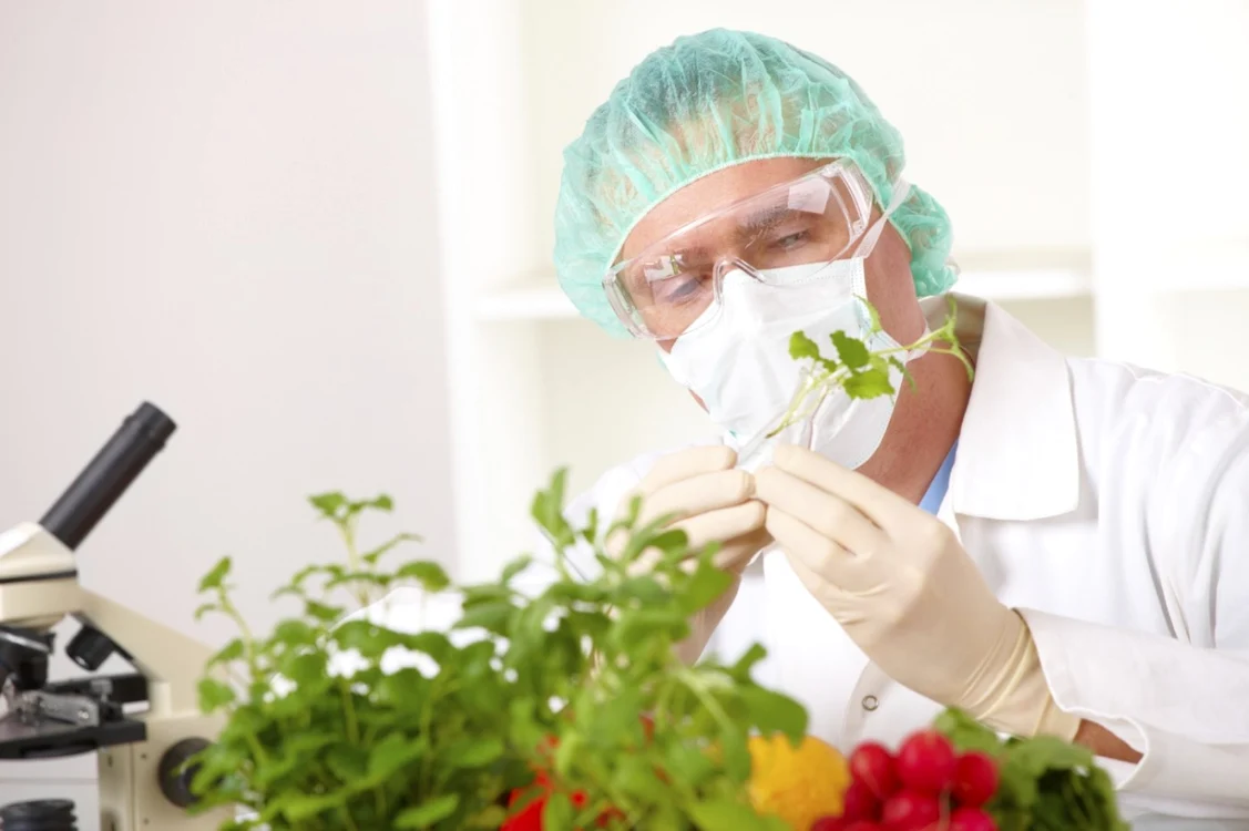 Sursa: BioTecNika.org