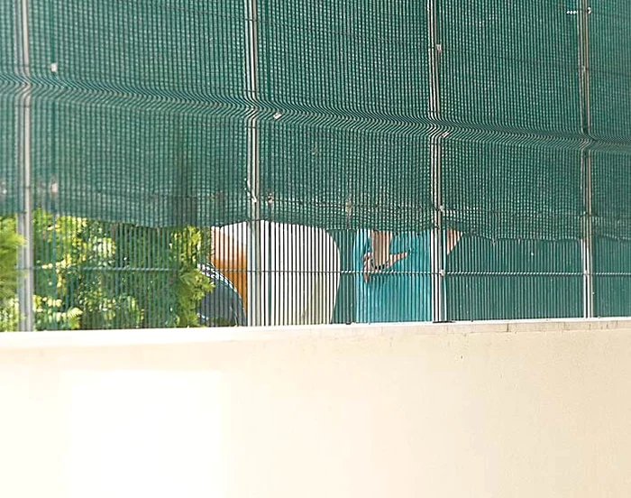 Doi salariați au spălat de  zor o vacă de  marmură, care  a fost băgată  apoi în casă