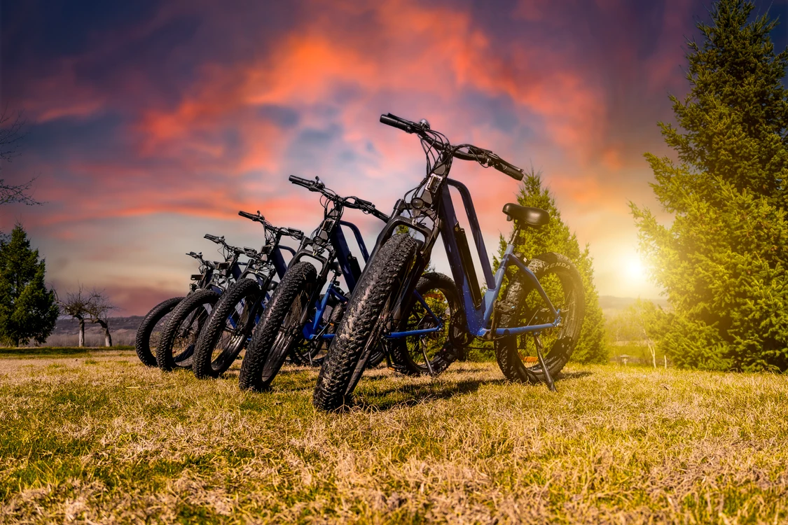 Bicicletele electrice din Ținutul Vinului, în Vâlcea Foto GAL Ținutul Vinului 