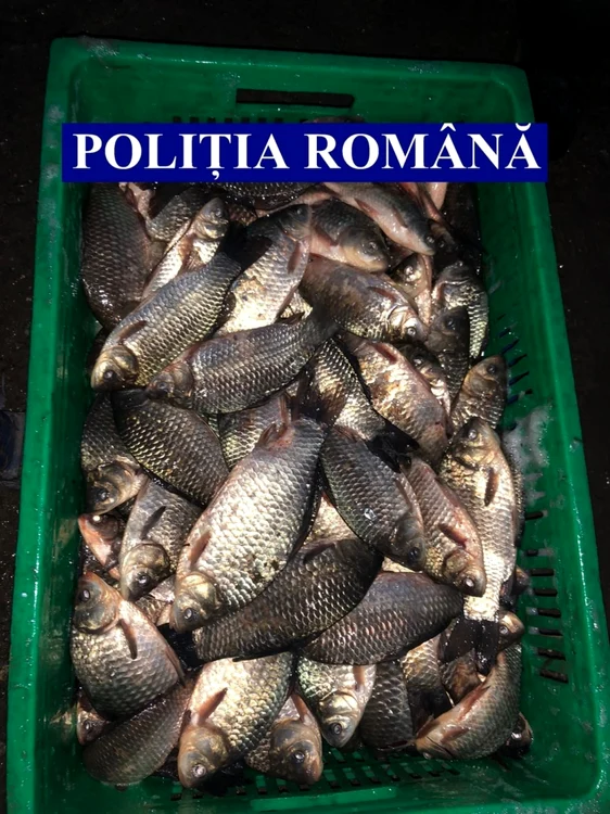 Marfă fără acte, confiscată de poliţişti FOTO IPJ Ialomiţa