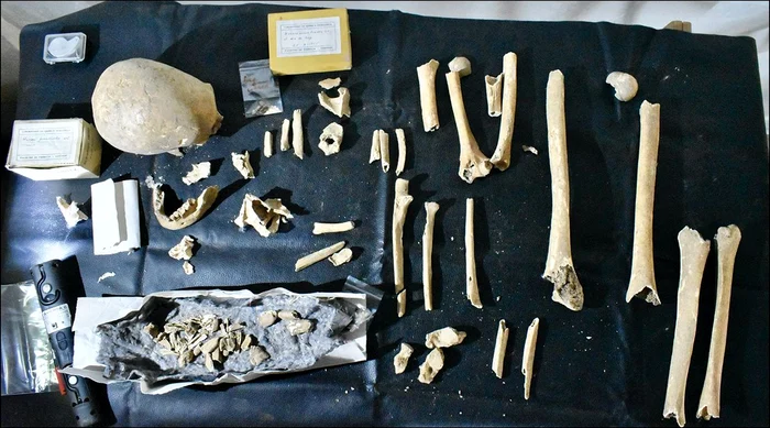 Osemintele descoperite în Santiago de Compostela (© Patxi Pérez-Ramallo / Antiquity Journal)