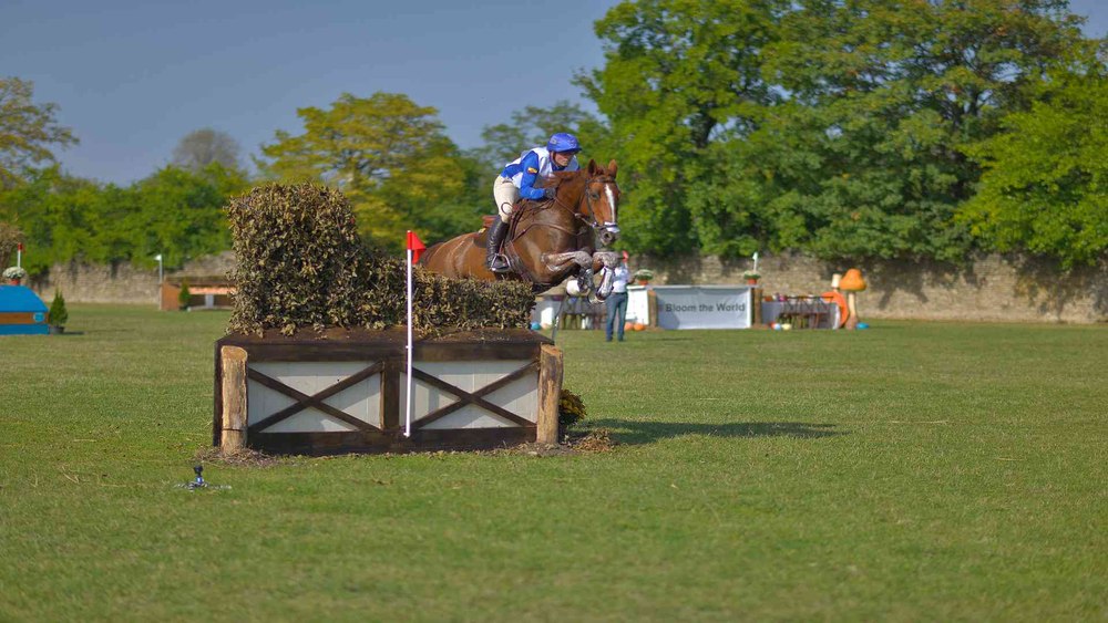 A noua ediție Karpatia Horse Show 2024: Concurs Complet Internațional de 4* show-uri, demonstrații și muzică live!