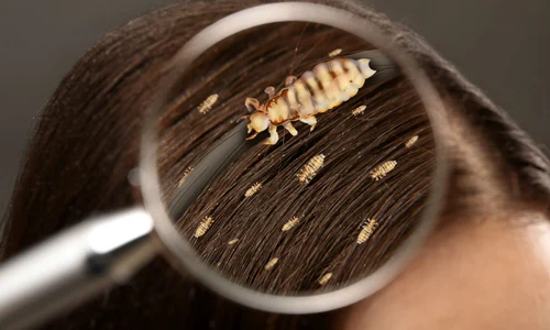 shutterstock 2250452733 jpg