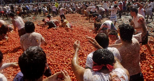 tomatina chile reuters