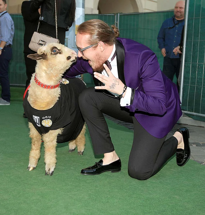 
    Foto: Roberto Sălceanu  