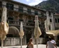 kotor jpg