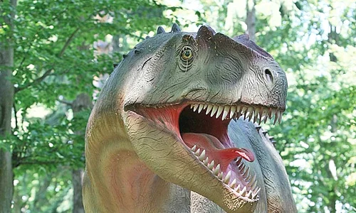 Allosaurus e unul dintre mastodonţii preferaţi ai copiilor jpeg