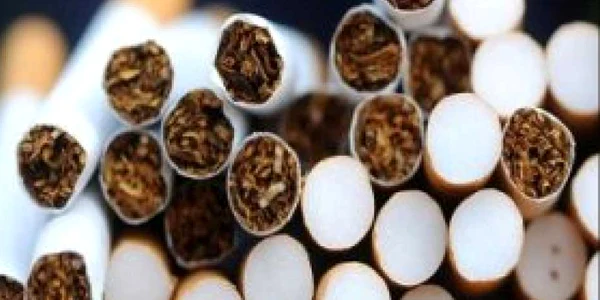 Producţia autohtonă de tutun estimată pentru acest an, dublă faţă de 2008