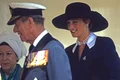 lady diana 3 jpeg
