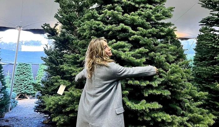 Jennifer Aniston a ales un brad uriaș (Foto: Instagram)