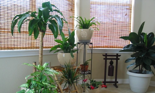 1 21208732 88205331cc o jpg jpeg