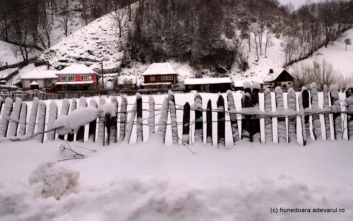 Gospodării din satul Cernișoara Florese. Foto: Daniel Guță