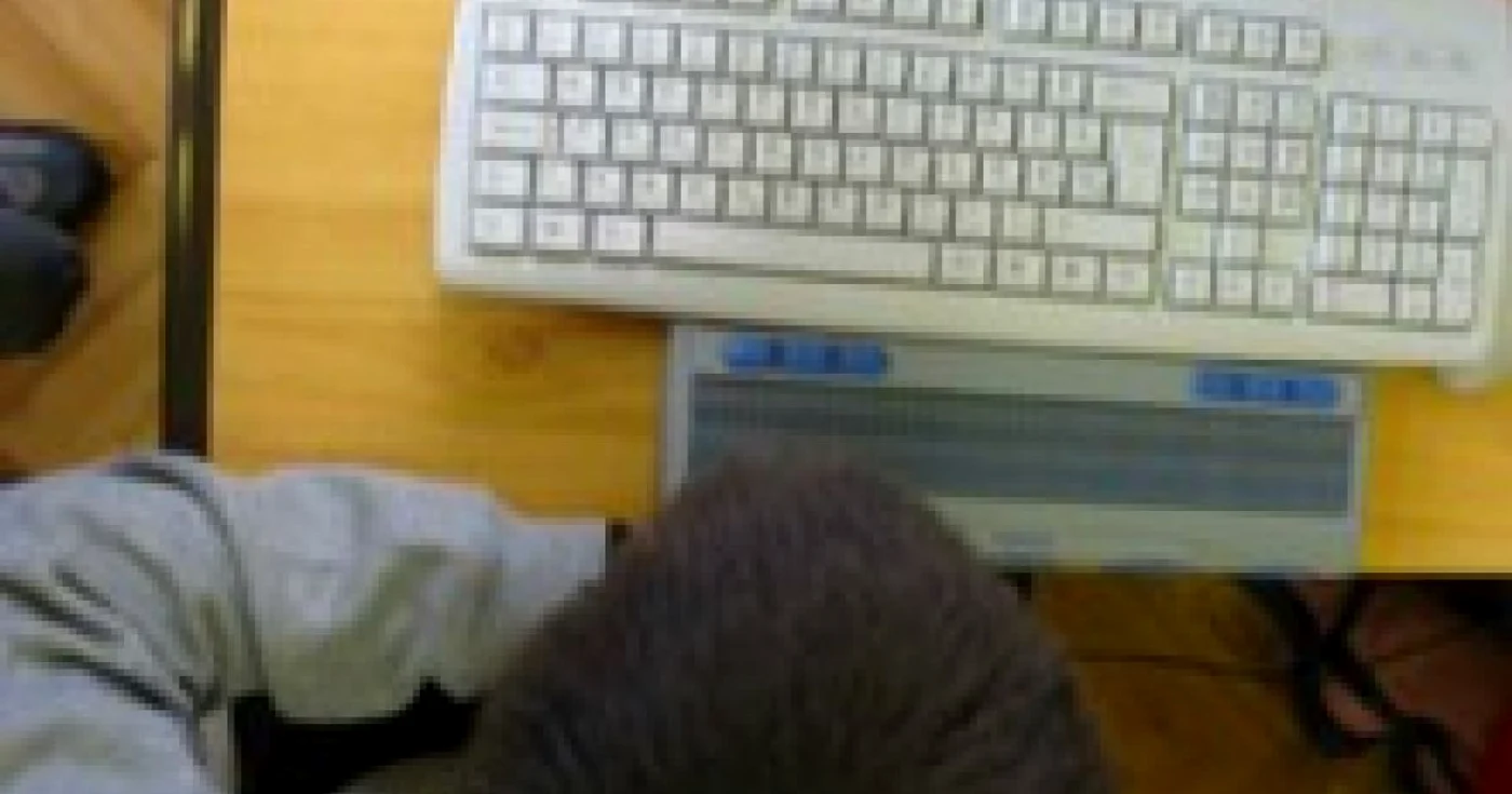 Vânzările on-line luate la ochi de către comisarii OPC