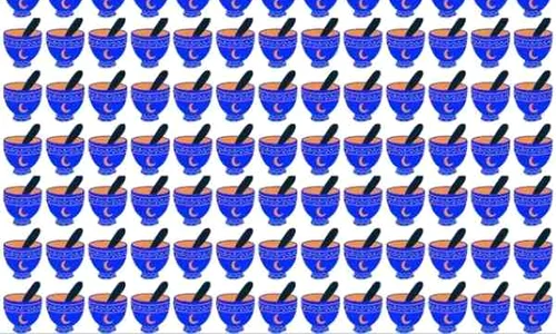 bowl puzzle jpg
