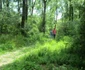Parcul Natural Lunca Mureşului