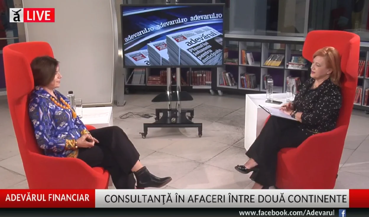 Consultanță în afaceri între două continente