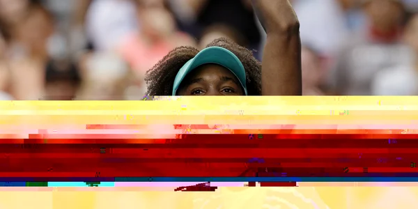 venus williams