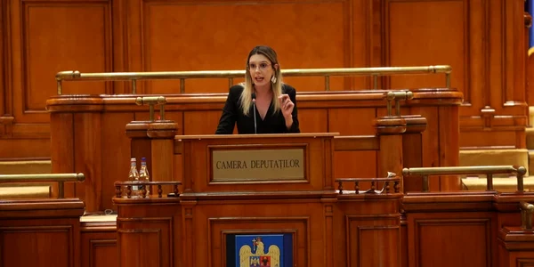 Diana Buzoianu FOTO: Facebook