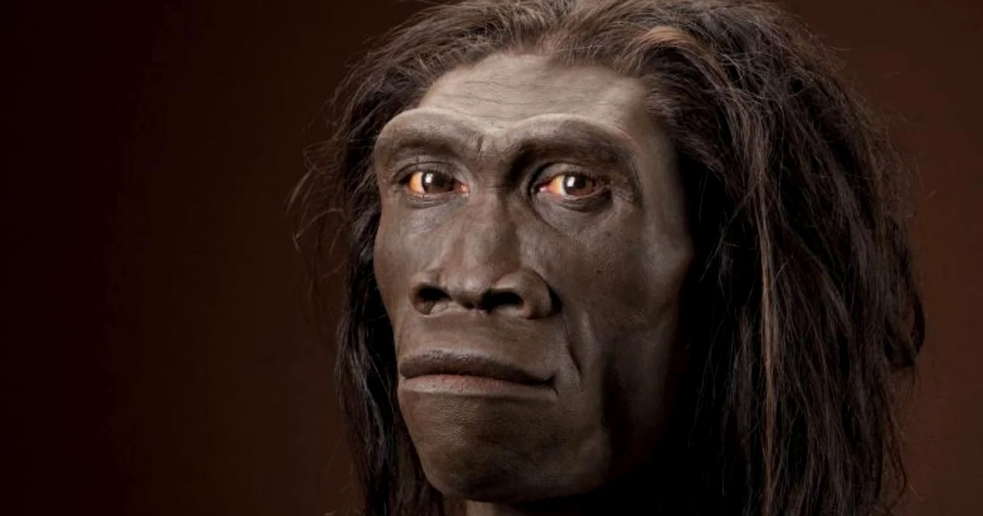 Homo Erectus se consideră a fi fost primul hominid care a locuit pe teritoriul de astăzi al României FOTO chimpmania.com