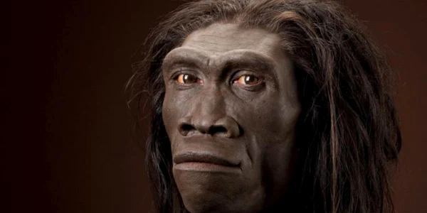 hominizi